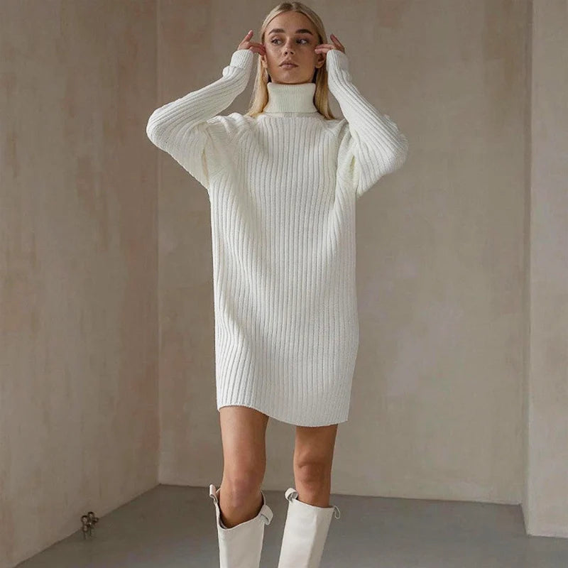 Arden High Neck Sweater Dress