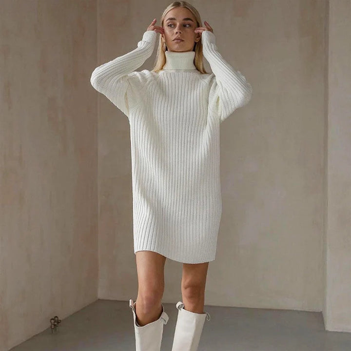 Arden High Neck Sweater Dress