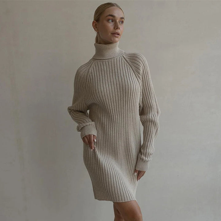 Arden High Neck Sweater Dress