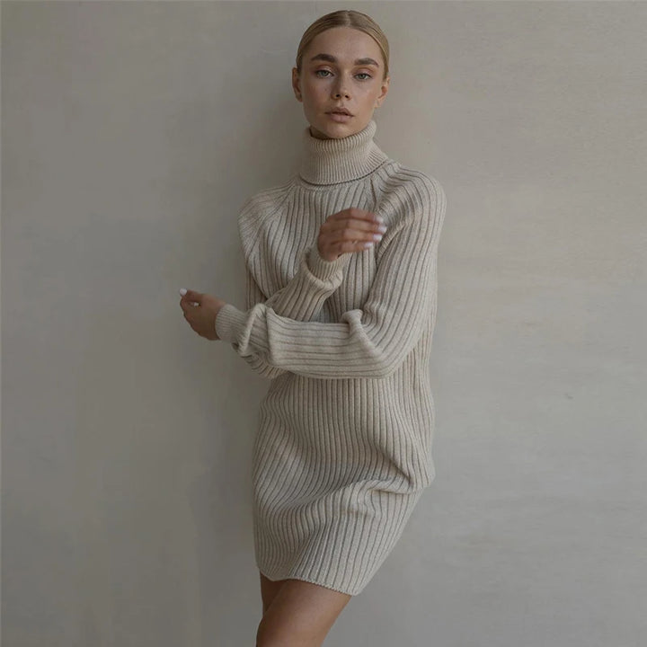 Arden High Neck Sweater Dress