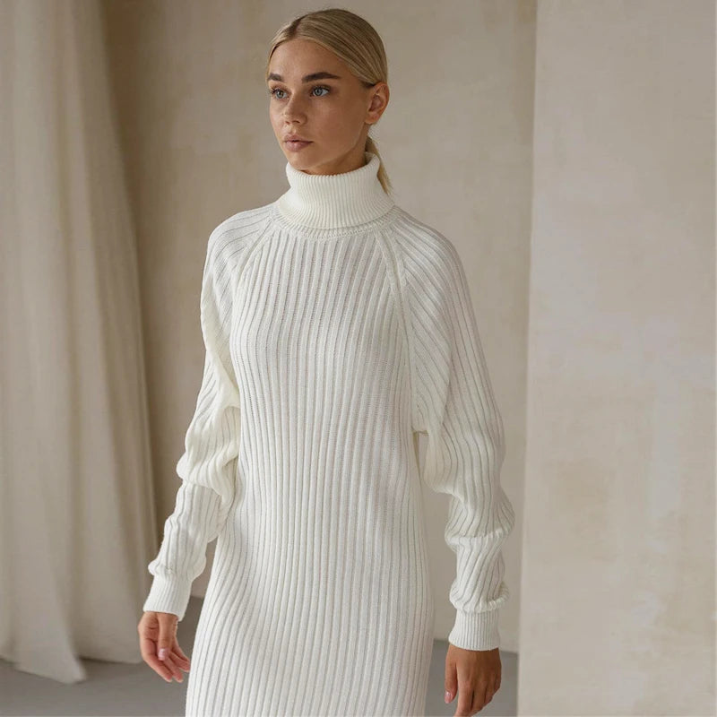 Arden High Neck Sweater Dress
