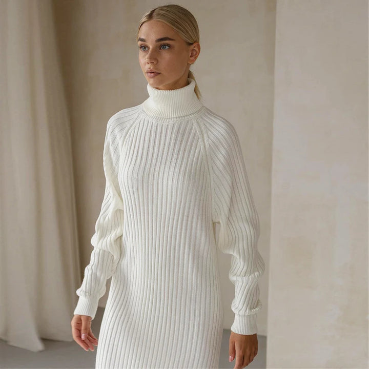 Arden High Neck Sweater Dress