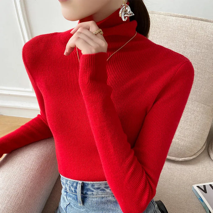 Orlena Cashmere Turtleneck