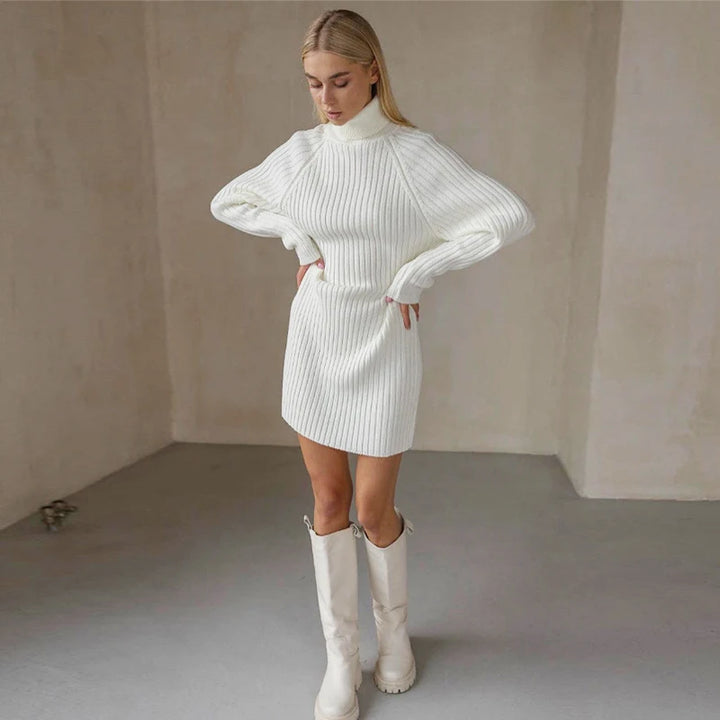 Arden High Neck Sweater Dress