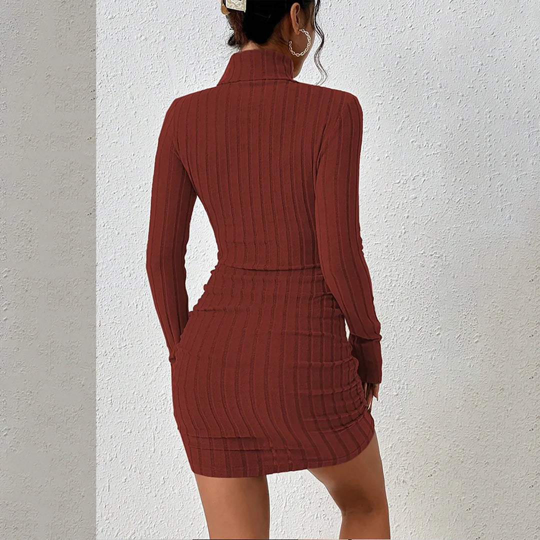 Back view of rust red ribbed knit turtleneck mini dress