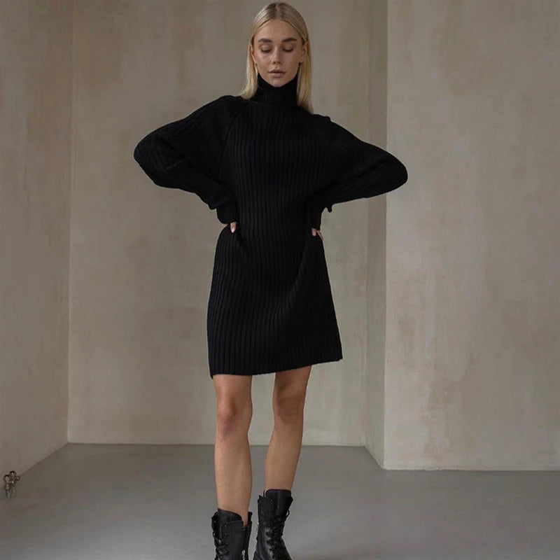 Arden High Neck Sweater Dress